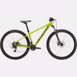 Bicicleta Specialized Rockhopper 29 Verde Oliva Satinado/Negro