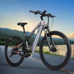 RANDRIDE YG90 17 Ah Bicicleta Eléctrica - Imagen 2