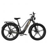 Fiido Titan Cargo 750W 135 km Bicicleta Eléctrica