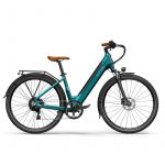 Fiido C11 250W Bicicleta Eléctrica Urbana